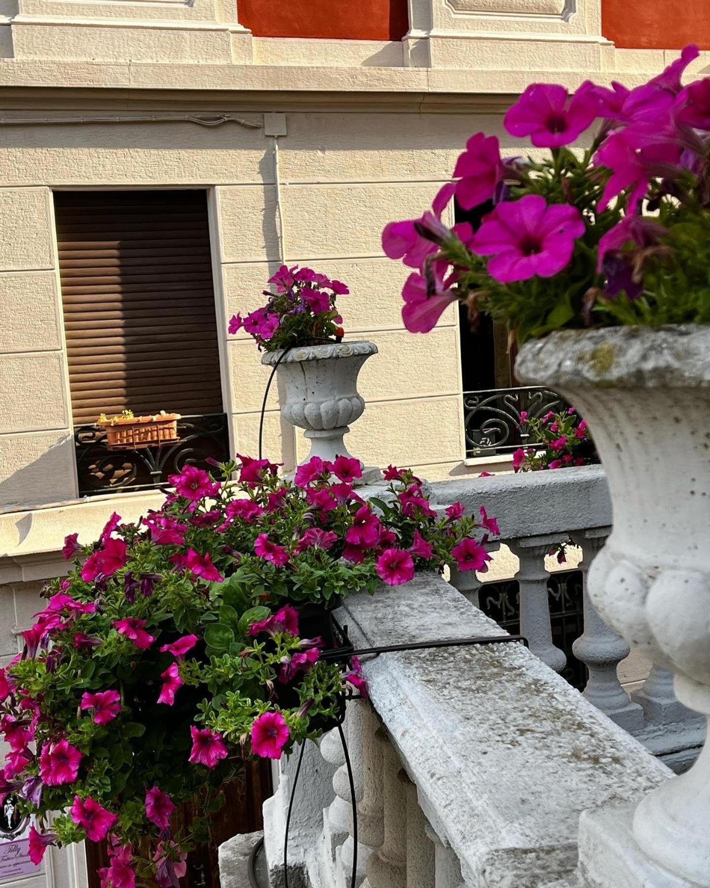 La Terrazza Vercelli Bed & Charme Exterior foto